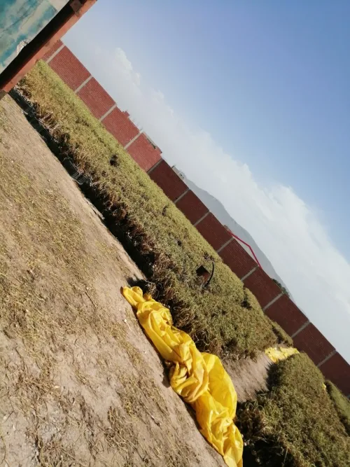 Location Terrain Mila Telerghma