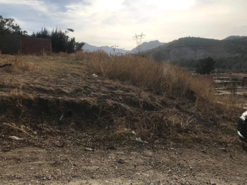 Vente Terrain Blida Hammam melouane
