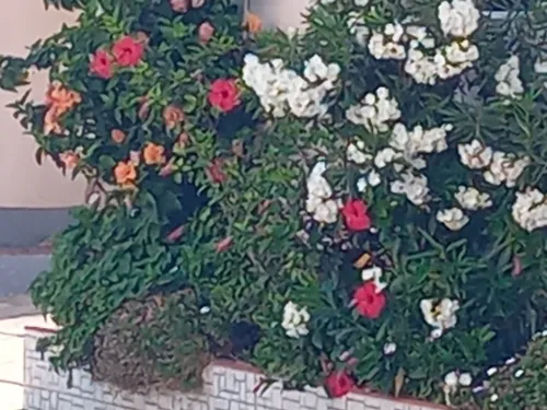 Location vacances Villa F4 Mostaganem Mostaganem
