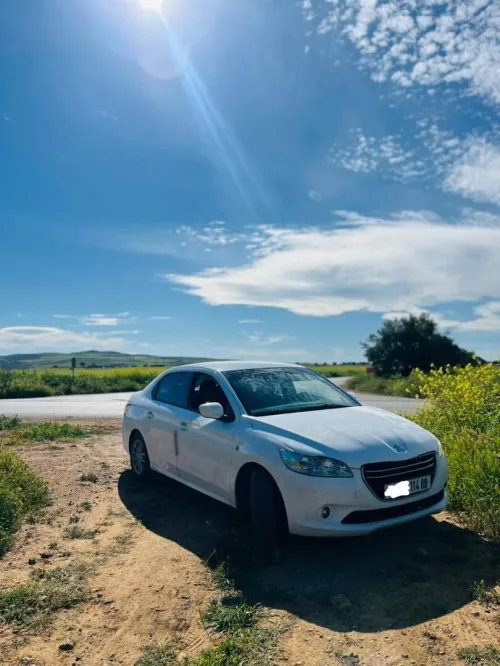 Peugeot 301 2014 Active