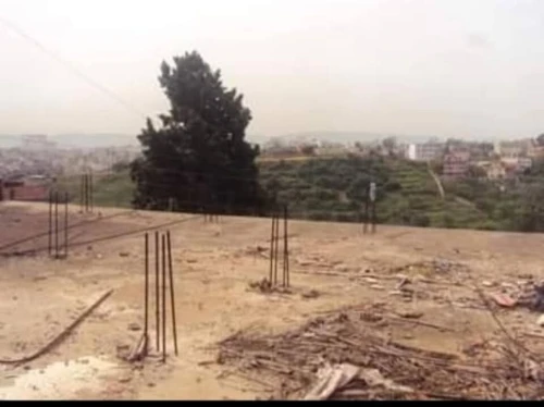 Vente Terrain Alger Bouzareah