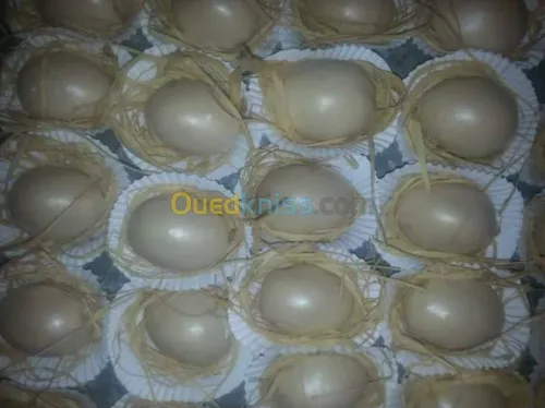 préparatrice gateaux