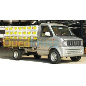 transport/livraison/demenagement