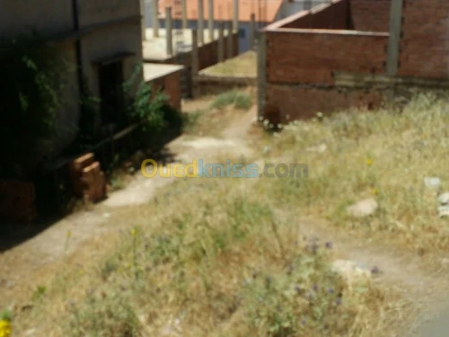 Vente Terrain Ain defla Miliana