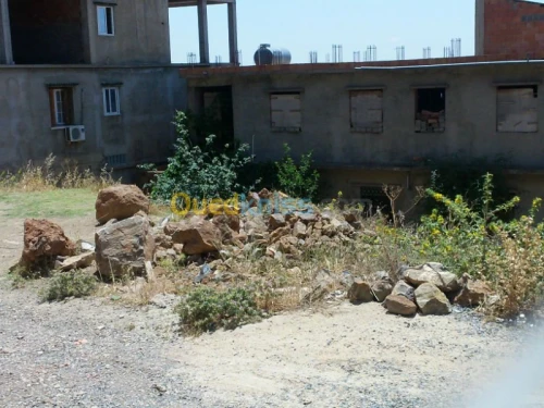 Vente Terrain Ain defla Miliana