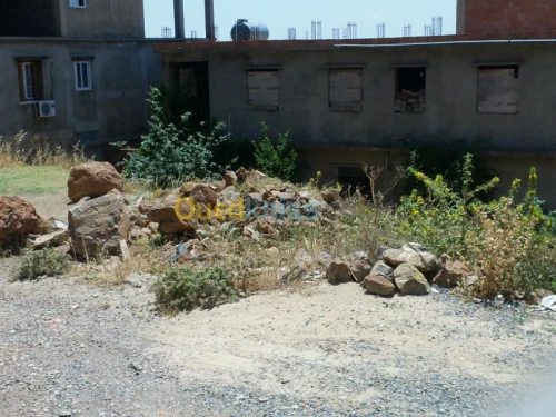 Vente Terrain Ain defla Miliana