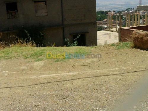 Vente Terrain Ain defla Miliana
