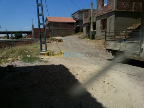 Vente Terrain Ain defla Miliana