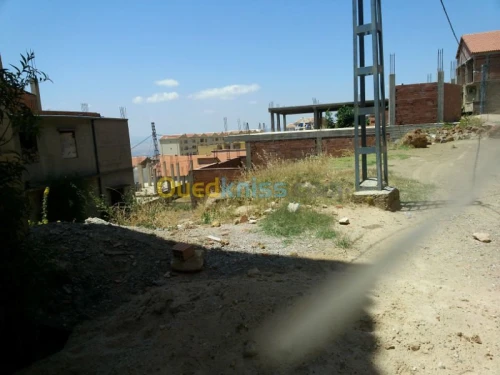 Vente Terrain Ain defla Miliana