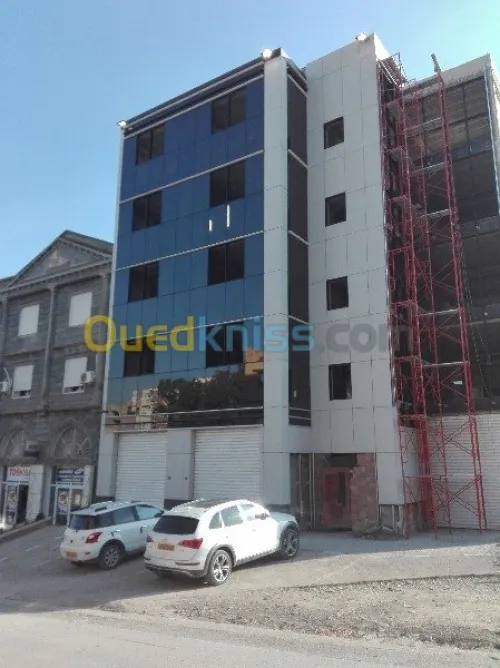 MENUISERIE ALUMINIUM ET  MUR RIDEAUX 