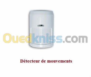 alarme anti intrusion 