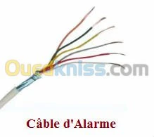 alarme anti intrusion 