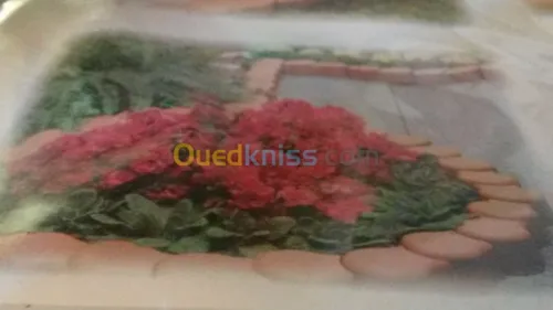 systhéme de bordure 