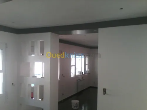 placo (BA13) et faux plafond