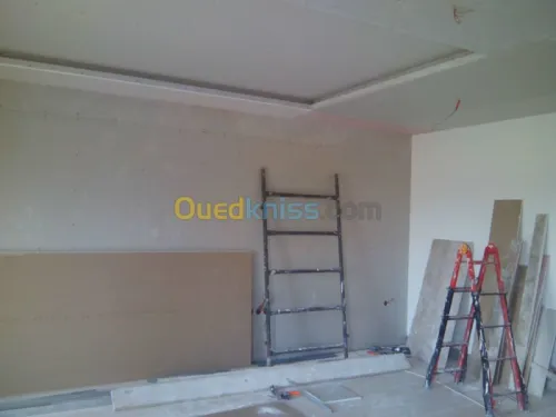 placo (BA13) et faux plafond