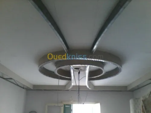 placo (BA13) et faux plafond