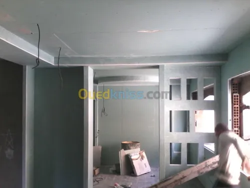 placo (BA13) et faux plafond