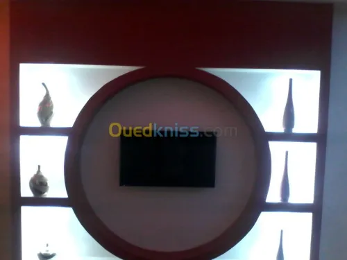 placo (BA13) et faux plafond