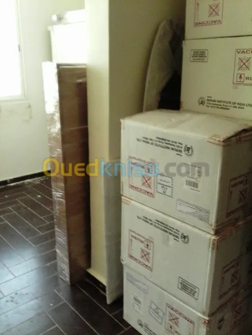 DEMENAGEMENT /TRANSPORT /MANUTENTIONS