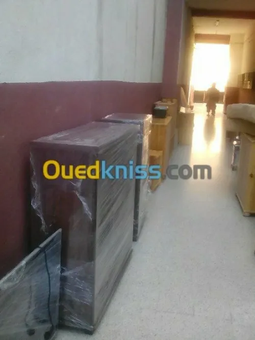 DÉMÉNAGEMENT _MANUTENTION/ TRANSPORT*