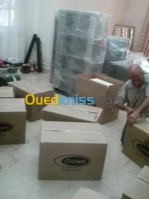 DÉMÉNAGEMENT _MANUTENTION/ TRANSPORT*