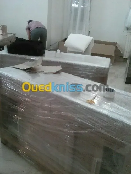 DÉMÉNAGEMENT _MANUTENTION/ TRANSPORT*