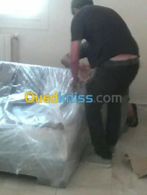 DÉMÉNAGEMENT _MANUTENTION/ TRANSPORT*