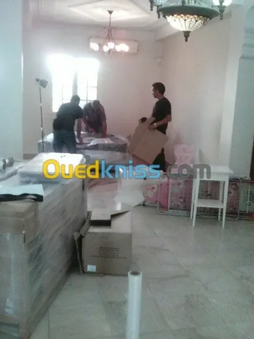 DÉMÉNAGEMENT _MANUTENTION/ TRANSPORT*