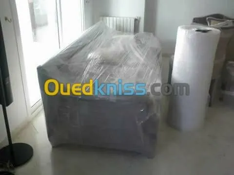 DÉMÉNAGEMENT _MANUTENTION/ TRANSPORT*