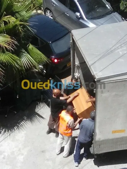 DÉMÉNAGEMENT _MANUTENTION/ TRANSPORT*