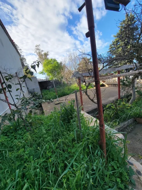 Vente Villa Alger Rais hamidou