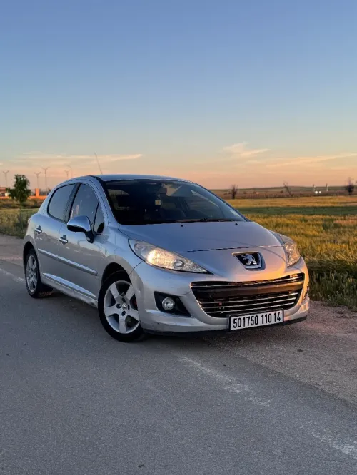 Peugeot 207 2010 207
