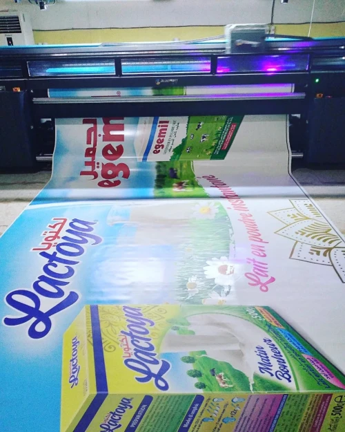 Impression Numérique UV Grand format