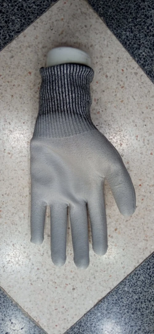 GANTS