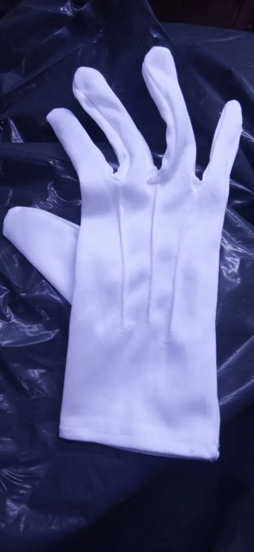GANTS