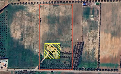 Vente Terrain Agricole Mascara El gaada
