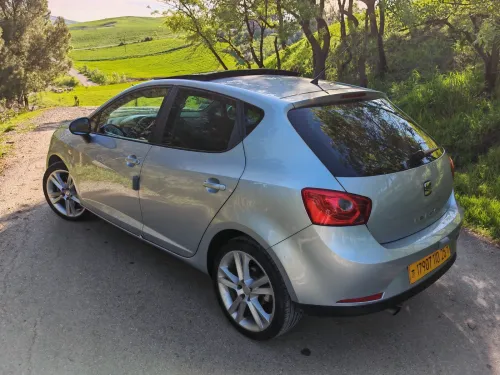 Seat Ibiza 2010 Loca