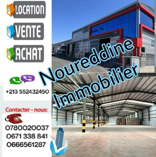 Location Hangar - Usine Alger Sidi moussa