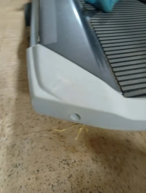 Jetski yamaha 1800