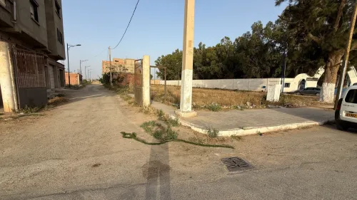 Vente Terrain Oran Boufatis