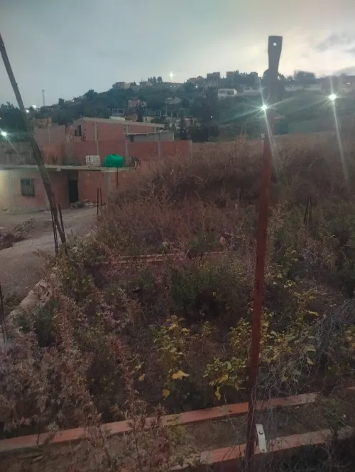 Vente Terrain Blida Djebara