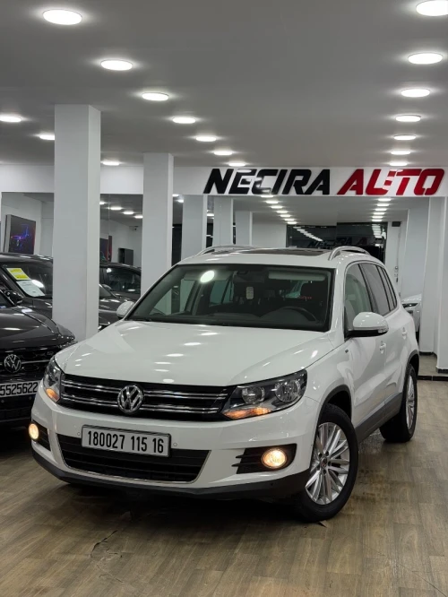 Volkswagen Tiguan 2015 Cup