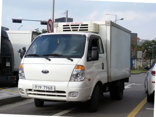 Kia K2700 2010