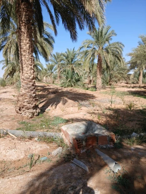 Vente Terrain Agricole Touggourt Blidet Amor