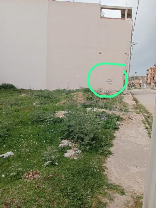 Vente Terrain Skikda Ben Azzouz