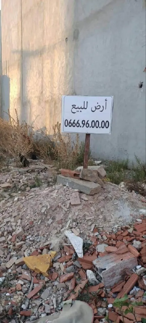 Vente Terrain Skikda Ben Azzouz