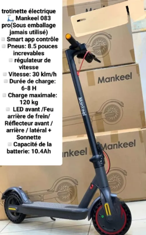 Trotinettes électriques 