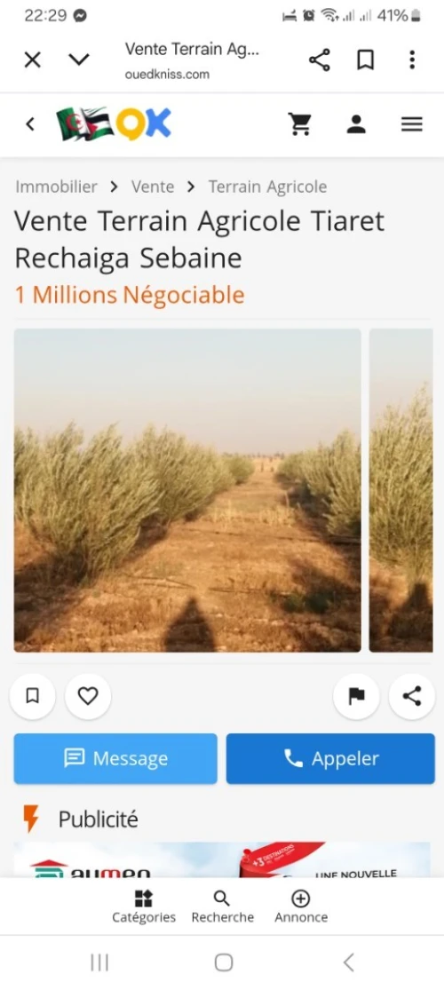 Vente Terrain Agricole Tiaret Rechaiga sebaine