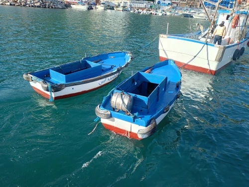 Bateau de Pêche Sardinier 11,5 mètres