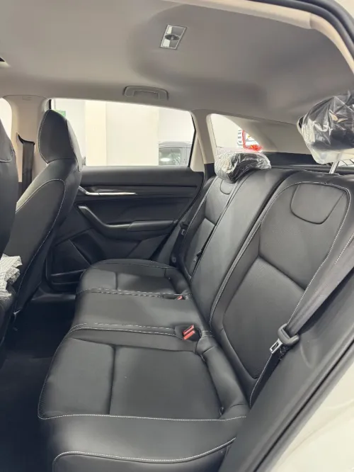 Skoda Kamiq 2025 Full options
